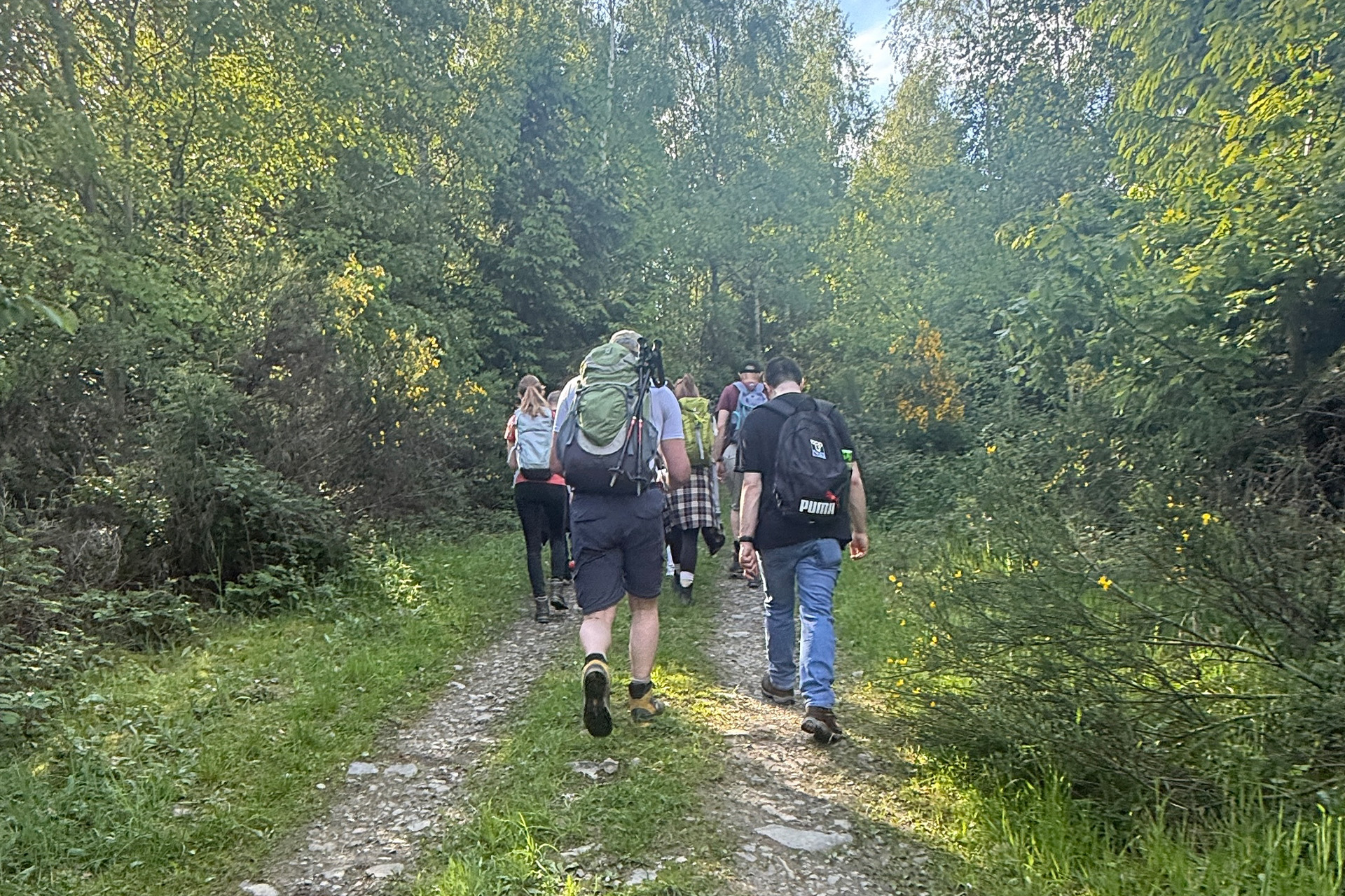 Wandern im Wald